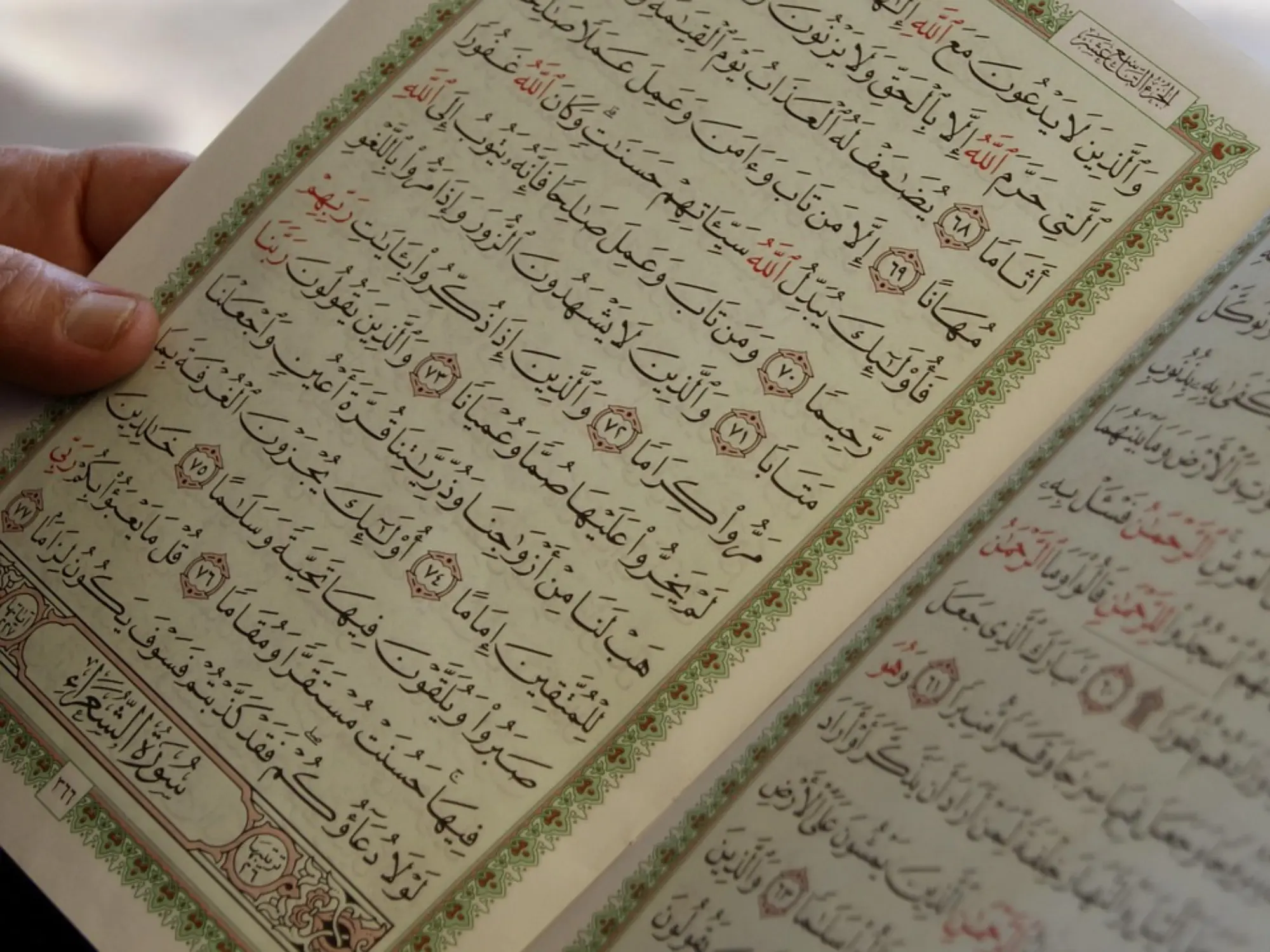 Sakaleyn Yolu Haarlem